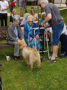 Ivybank House Wishing Well - Dog Agility!