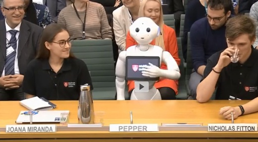 Care robot tells MPs it can 'boost independence and reduce loneliness