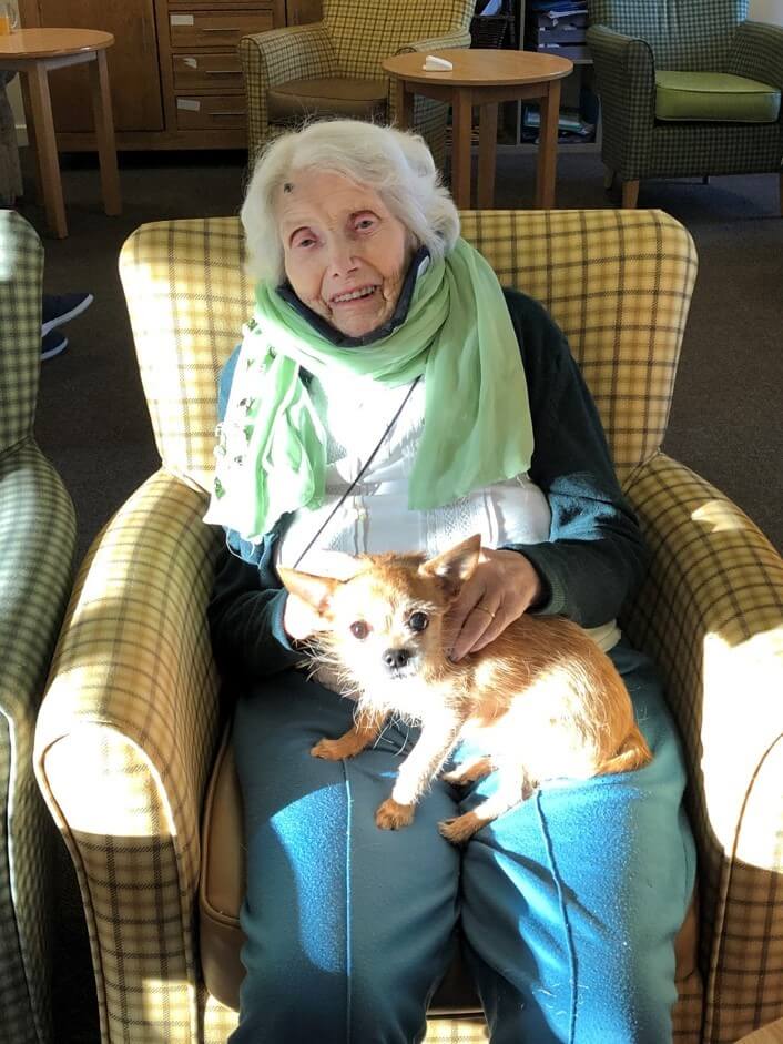 are dogs allowed in care homes