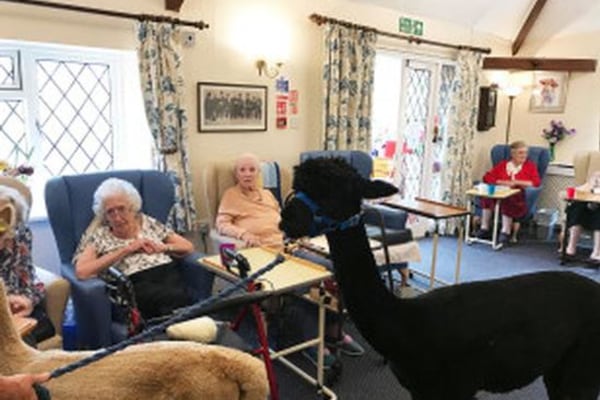 Castle Farm Care Home BH16 6BZ