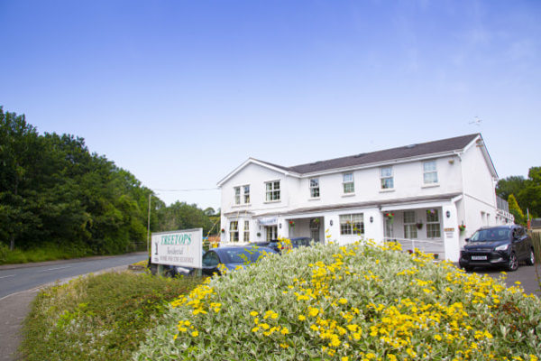 Treetops Residential Care Home, Llangeinor Road