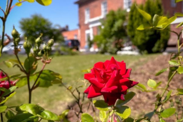 Teme Court Care Home, Old Road