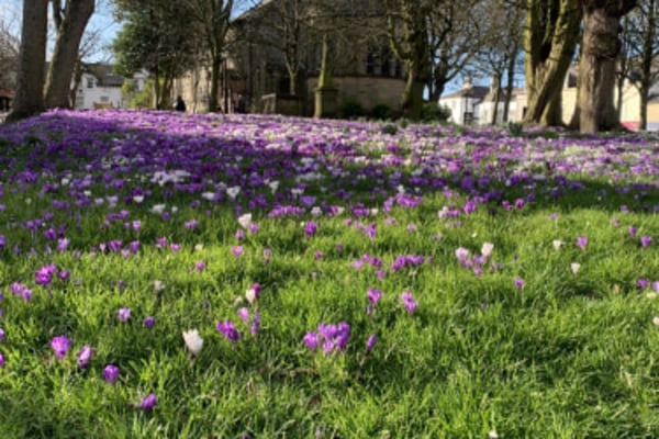 Bluebell House Residential Care Home FY6 7JA