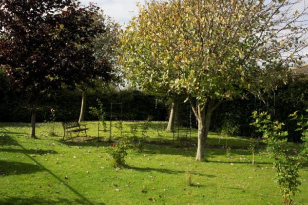 Northlea Court Care Home, Brockwell Centre