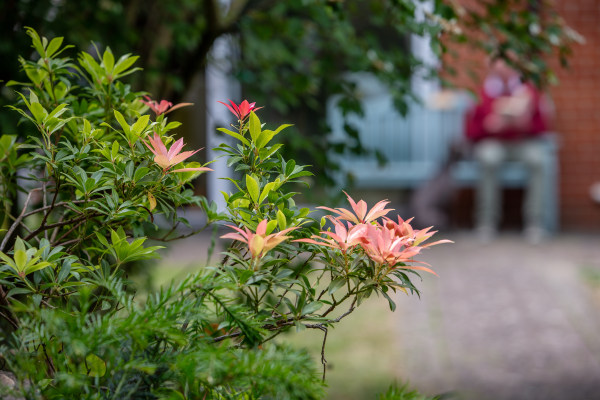 Florence House Care Home, Peterborough, Cambridgeshire