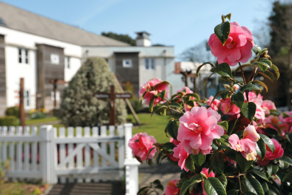 The Aldbury, Poole, Dorset