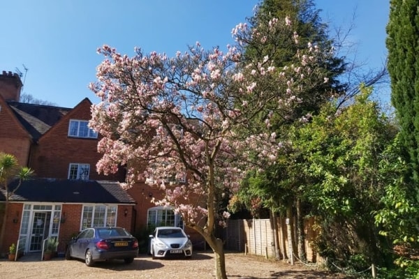 Sheerwater House, Sheerwater Road