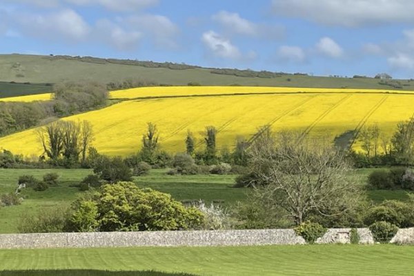 Alfriston Court Care Home, Polegate, East Sussex