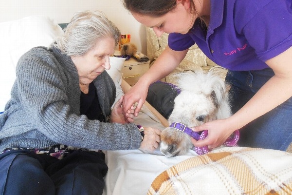 Claremont Lodge Care Home with Nursing, Fontwell Avenue