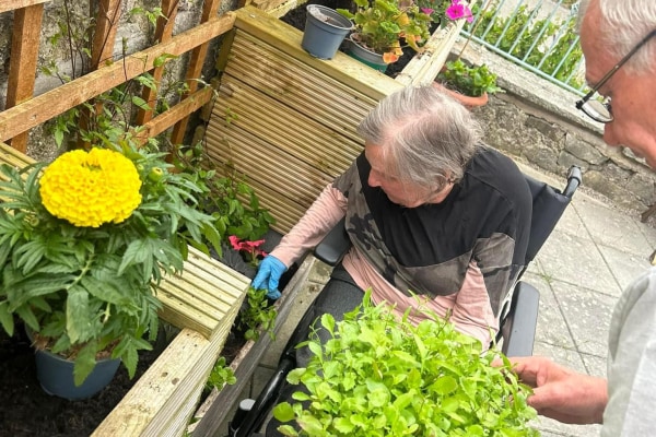 Coed Mor Residential Care Home, Groes Lwyd