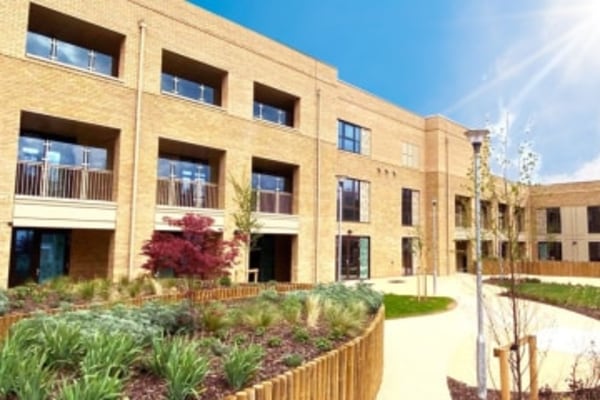 Surbitonian Gardens, Poppy Court