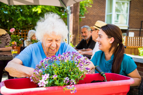 Maples Care Home, Bexleyheath, London