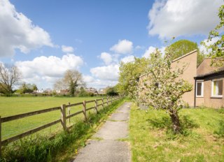 Home Meadow, Cambridge, Cambridgeshire