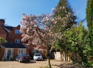 Sheerwater House, Addlestone, Surrey