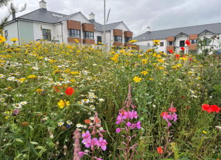 Copelands Dementia and Residential Care, Newtownards, County Down